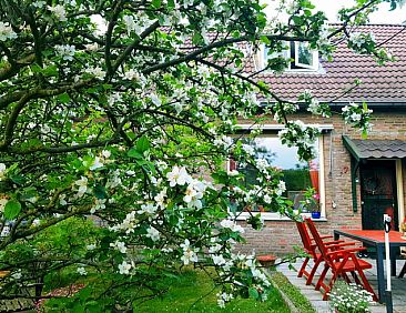 Vakantiehuisje in Overdinkel