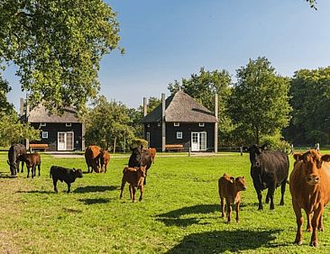 Vakantiehuisje in Enter