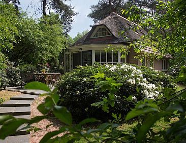 Vakantiehuisje in Beerze