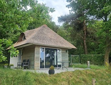 Vakantiehuisje in Diffelen (Hardenberg)