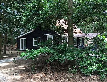 Vakantiehuisje in Dalfsen