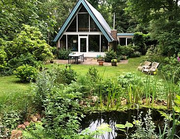 Huisje in Bergentheim