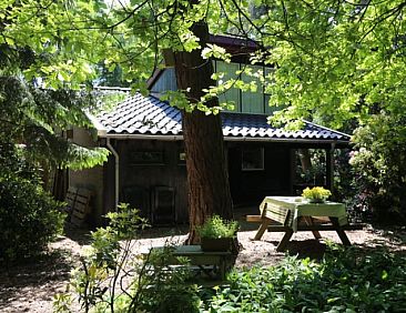 Vakantiehuisje in Stegeren