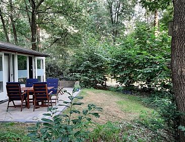 Vakantiehuis in Stegeren