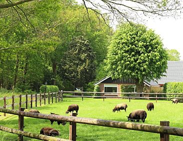 Vakantiehuisje in Lemelerveld