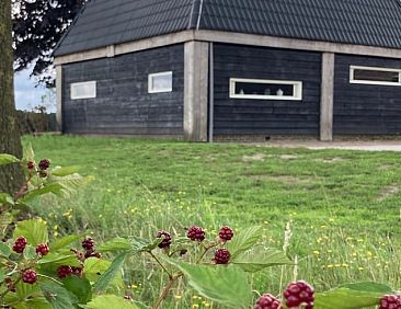 Vakantiehuisje in Vinkenbuurt