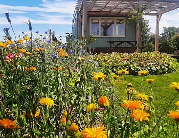 Huisje in IJsselmuiden