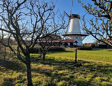 Huisje in Koudekerke