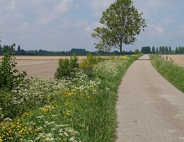 Vakantiehuisje in Ovezande