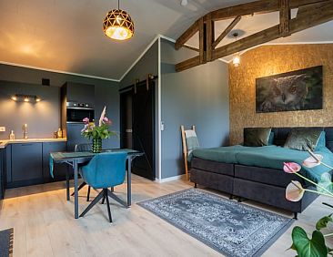 Vakantiehuis in Kattendijke