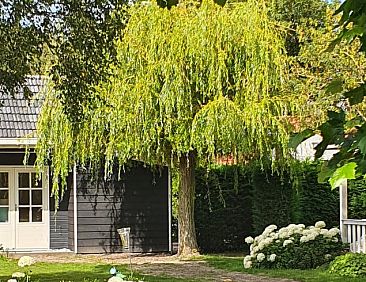 Vakantiehuisje in Lewedorp