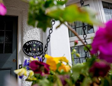 Bay Tree House Bed &amp; Breakfast