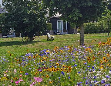 Vakantiehuisje in Sommelsdijk