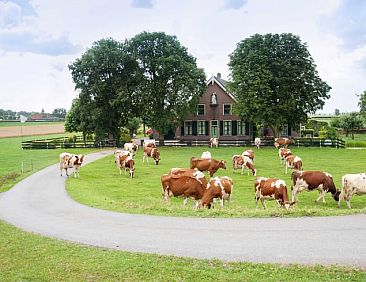 Vakantiehuisje in Nieuwveen