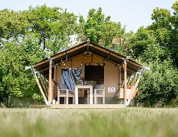 Safaritent Cozy (inclusief ontbijt)