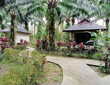 Khao Sok Palm Garden Resort
